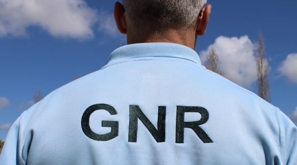 GNR apreende 500 máquinas de jogo ilegal em Faro, Beja, Lisboa e Setúbal
