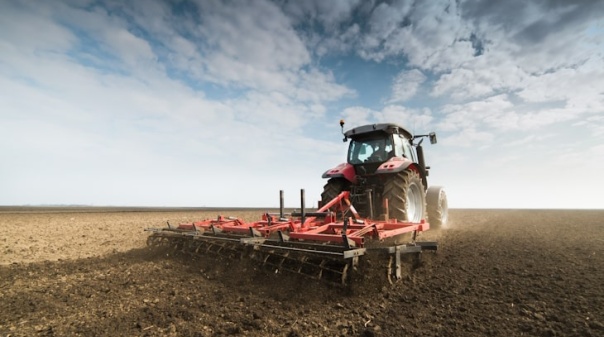 Seca: Agricultores do Algarve só aceitarão cortes de água iguais para todos