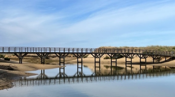 Município de Portimão repara pontões do passadiço da Ria de Alvor 