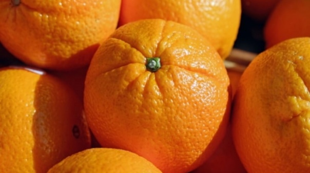 Produção de laranja no Algarve aumentou 4,5% nos primeiros seis meses da campanha