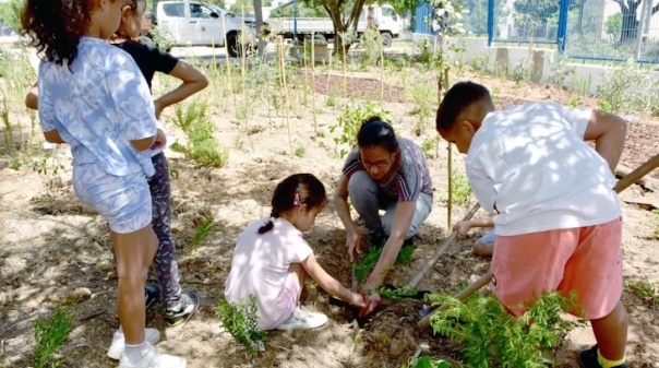 Escola de Almancil recebeu a primeira floresta Miyawaki no concelho de Loulé 