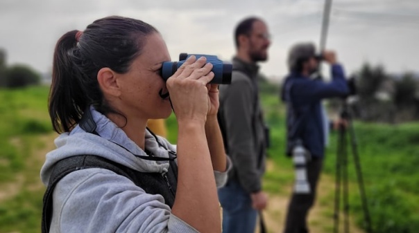 Almargem lança site para dar a conhecer "riqueza natural" das Alagoas Brancas
