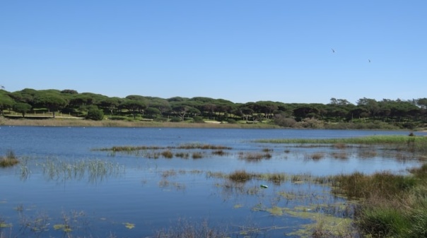 Reserva Natural Local da Foz do Almargem e do Trafal integra Rede Nacional de Áreas Protegidas 