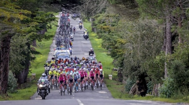 Volta ao Algarve: Cândido Barbosa assume "engano claro" da organização 