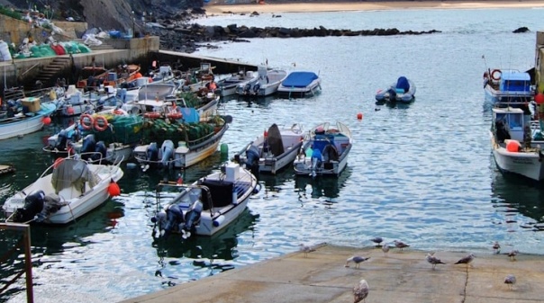 Município de Aljezur submete candidatura ao MAR2030 para valorizar comunidades piscatórias 