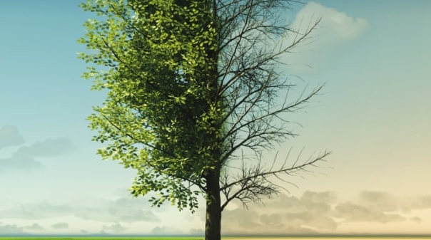 Esta quinta-feira é apresentado o Plano Municipal  de Ação Climática de Tavira
