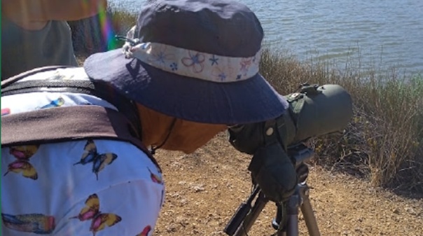 Lagoa lança ciclo de formações que permite explorar o mundo das aves