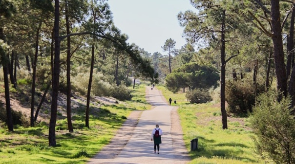 Vila Real de Santo António prepara Plano Municipal de Ação Climática 