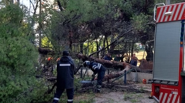 Registadas 412 ocorrências no Algarve devido à depressão Martinho 