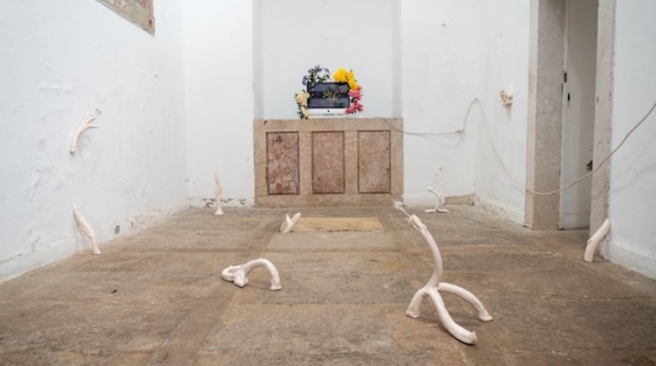 Exposição que coloca “Sal na Ferida” patente na Galeria Praça do Mar em Quarteira