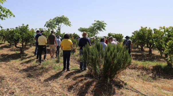 Tavira discute inclusão das bio-regiões no Algarve 