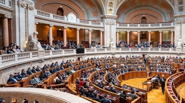 Parlamento recomenda ao Governo que promova a construção de matadouro no Algarve