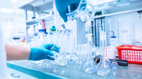 Investigadores da UAlg detetam neurotoxina em buzinas capturadas no Algarve