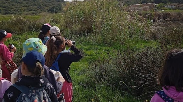 Formação em Lagoa parte à descoberta das aves migratórias
