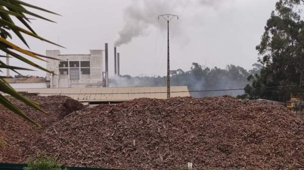 Fecho inesperado de fábrica de cortiça em Silves abona a favor dos moradores 