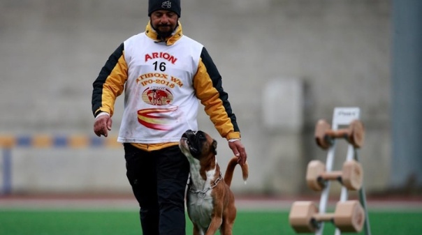 Escola Iron Dog Algarve promove masterclass gratuita 