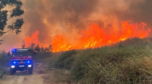 Relatório europeu alerta para "aumento da mortalidade” em Portugal associada aos fogos