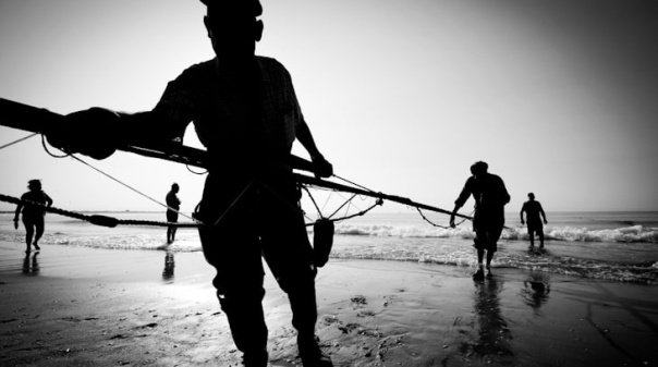 Exposição fotográfica de Pedro Noel da Luz para apreciar na Junta de Freguesia de Armação de Pêra