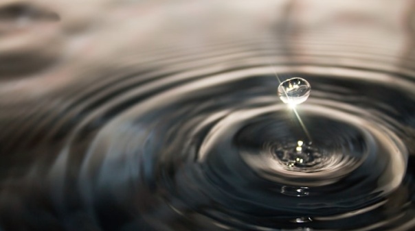 Empreendimentos algarvios com selo "Save Water" poupam 13% de água num ano