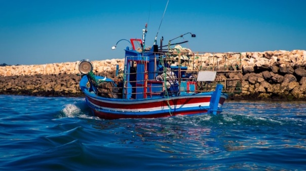 Projeto Valipesca apoia pescadores do Algarve no acesso a fundos europeus 