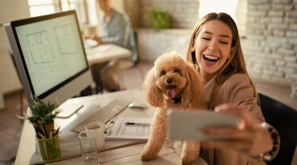 56% dos portugueses diz que trabalhar com animais de companhia reduz o stress