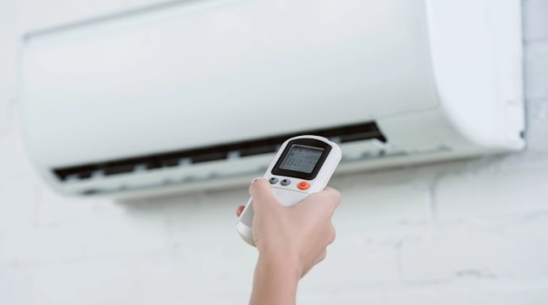 IPMA pondera subir alerta para vermelho em alguns distritos devido ao calor