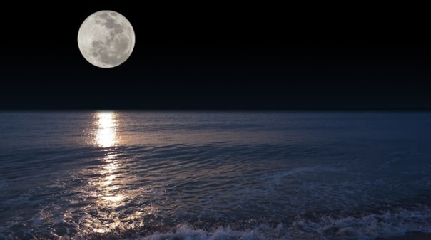 Noites de lua cheia animadas na Praia da Galé com muita música 