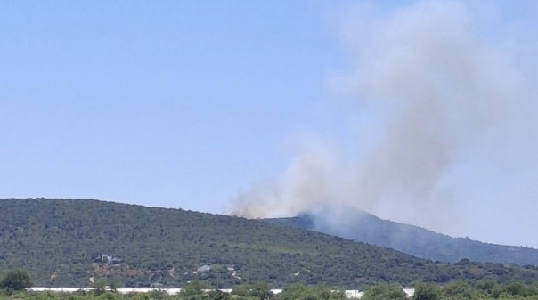 Incêndio no Cerro de São Miguel em fase de resolução com 69 operacionais no terreno
