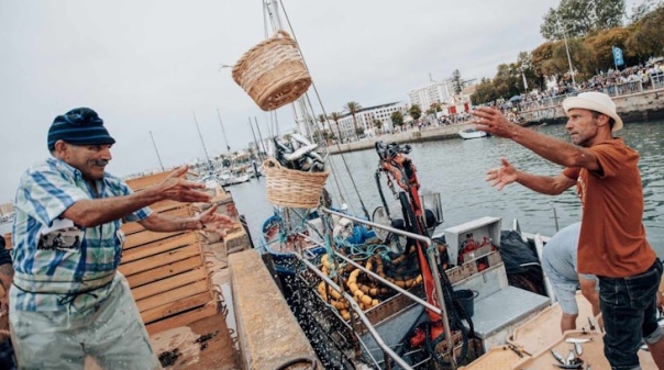 Festival da Sardinha arranca com transmissão ao vivo 