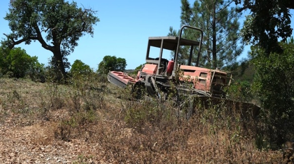 São Brás de Alportel: Trabalhos de defesa da floresta em fase de conclusão 