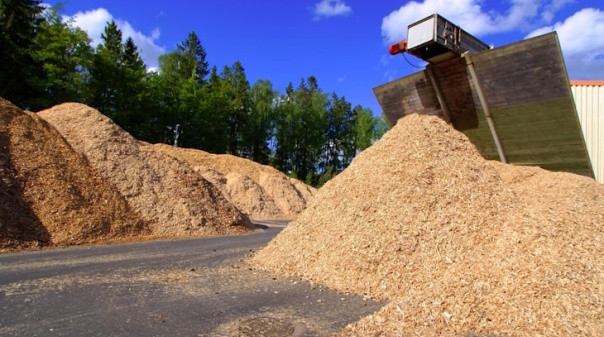 Fundo Ambiental apoia instalação de central de biomassa no Município de Silves 