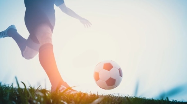 Liga Portugal e IPDJ criam bolsa de voluntários para as competições profissionais