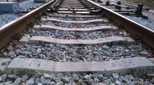 Restabelecida circulação ferroviária na Linha do Algarve após atropelamento mortal