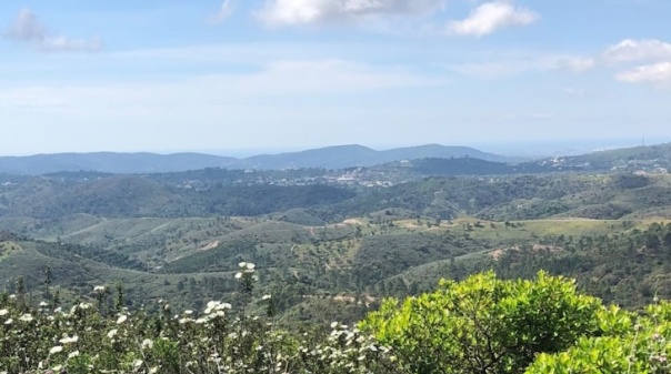 Município de São Brás de Alportel aprova novos hotéis em solo rural 