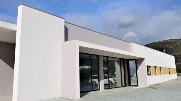 Faro lança programa "pioneiro" para apoiar famílias carenciadas com animais 