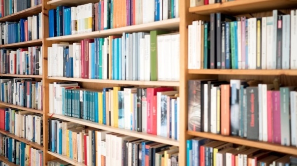 Associação "folha de medronho" promove troca de livros em Loulé  