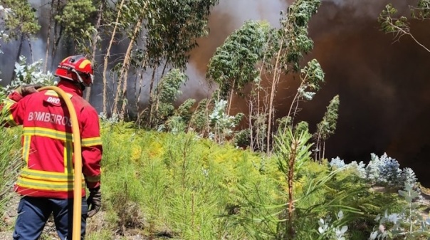 Risco de incêndio rural muito elevado a máximo para o Norte, centro e Algarve