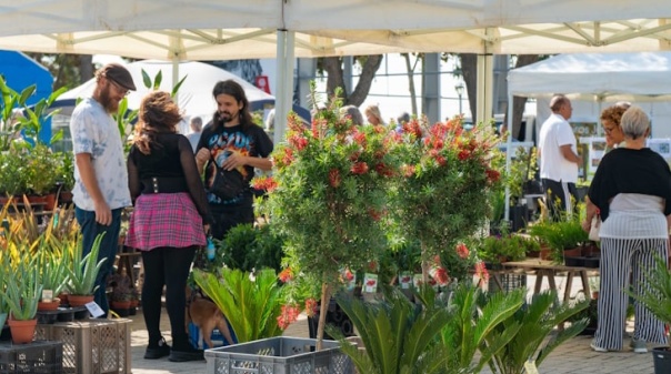 Feira de Jardinagem Mediterrânica - Outono vai ter lugar no recinto da FATACIL