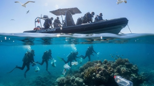 Várias entidades envolvidas na 2ª limpeza subaquática no Parque Natural Marinho do Recife do Algarve
