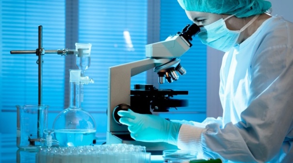 Algarve aposta na economia azul para mudar futuro da alimentação e farmacologia