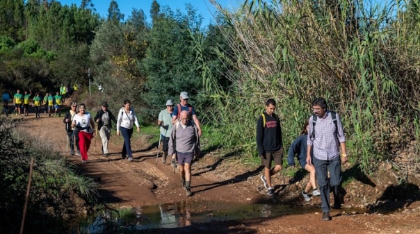Passeio pedestre de São Martinho na Cortelha inclui sabores do interior 