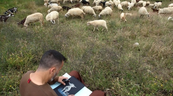 Museu de Tavira lança passatempo para desenhar “Paisagens Mediterrânicas”