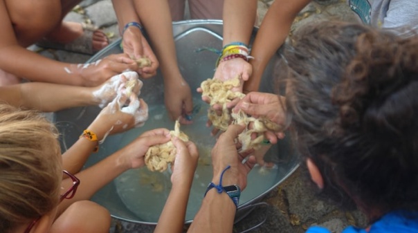 O mundo da lã é tema de oficina criativa dirigida a famílias em Tavira 