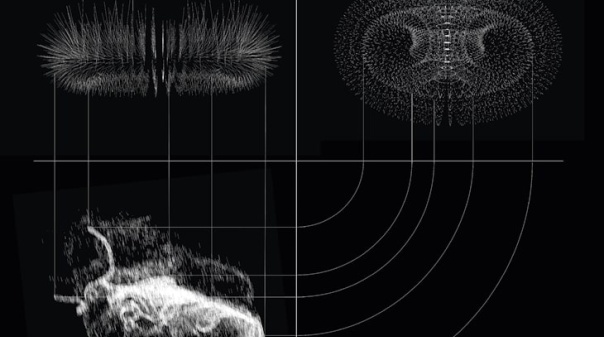 Exposição em Quarteira vai mostrar tensão entre humano e tecnológico