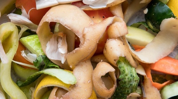 Lagoa superou em 11% objetivo da taxa de recolha de biorres&iacute;duos em 2024 