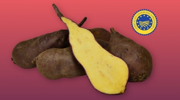 Festival da Batata-Doce de Aljezur valoriza "símbolo da identidade do concelho"