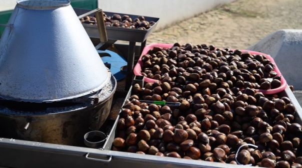 Mau tempo adia magusto de São Martinho de Lagoa e Carvoeiro