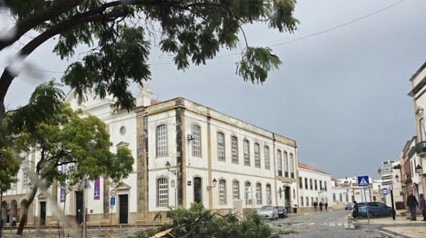 Fenómeno extremo de vento faz cair árvores e estruturas em Faro