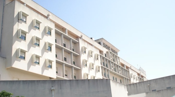 Ministra da Saúde visita ULS Algarve para preparar inverno