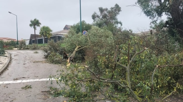 Vento forte tamb&eacute;m fez estragos em Lagoa